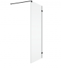 Ronal ścianka boczna 70x200 cm, szkło przezroczyste, profile BLACK LINE czarny mat ANTW107000607